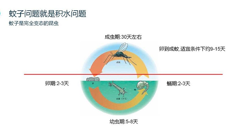 蚊子,滅蚊,別墅客戶,怎么滅蚊子,美汐環(huán)境